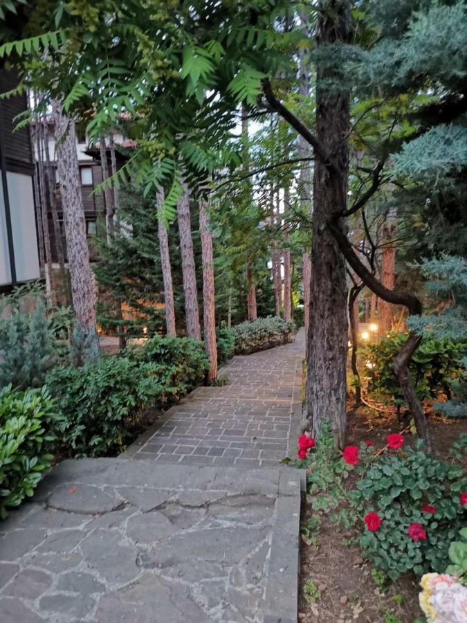 סוזופול Quiet Apartment With Big Terrace In Santa Marina With Parking מראה חיצוני תמונה